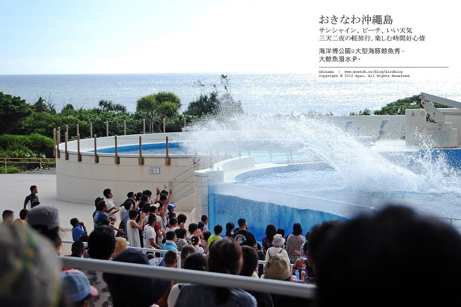 1379024210 4214471226 沖繩Day2-美麗的海洋博公園&美之海生館