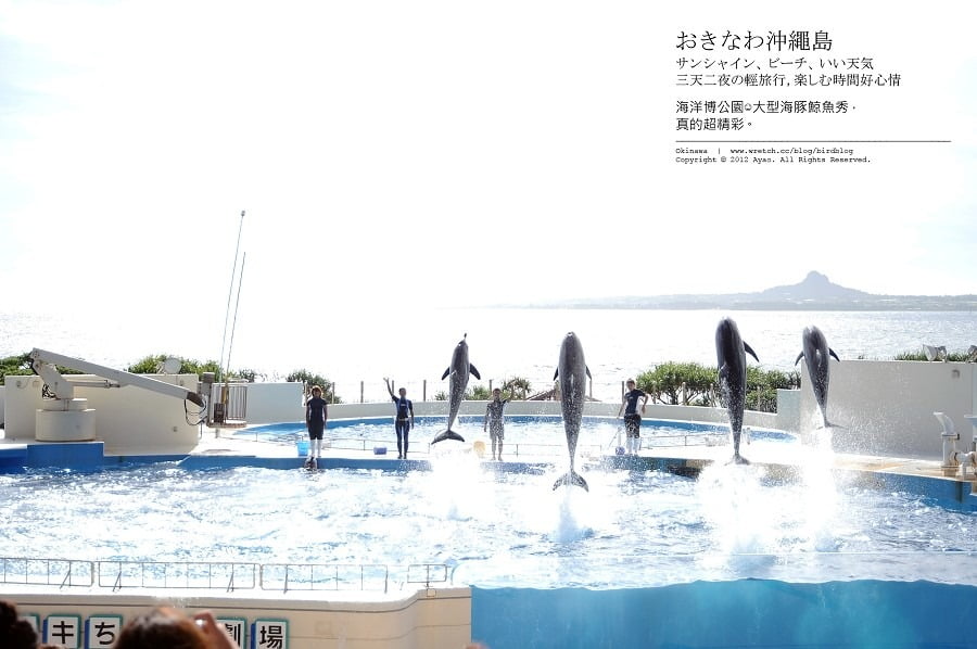 1379024215 3579596893 沖繩Day2-美麗的海洋博公園&美之海生館