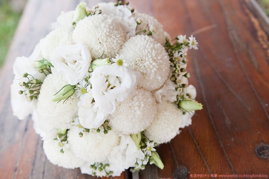 1379021540 428907355 這真的不是我們的婚紗照【鳥夫人】