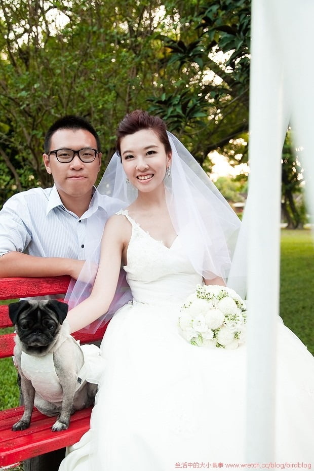 1379021676 3335729075 這真的不是我們的婚紗照【鳥夫人】