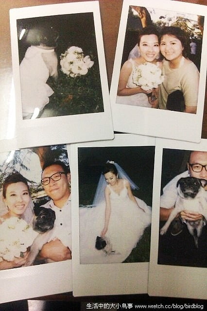 1379021697 3303509708 這真的不是我們的婚紗照【鳥夫人】