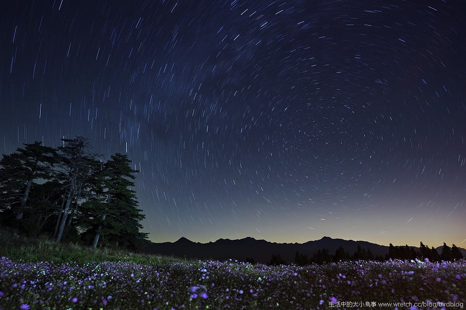 1379021770 3930997923 花海星曝.福壽山農場【鳥先生】