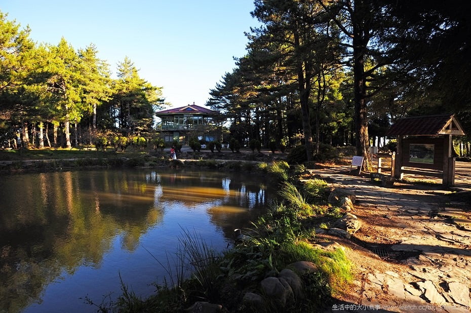 1379021811 1904549359 花海星曝.福壽山農場【鳥先生】