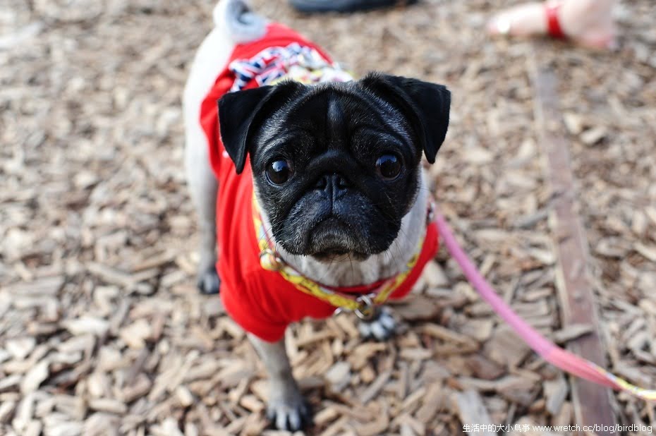 1379021969 3947623110 NOW!!!台中最燒景點"秋紅谷"【鳥夫人】