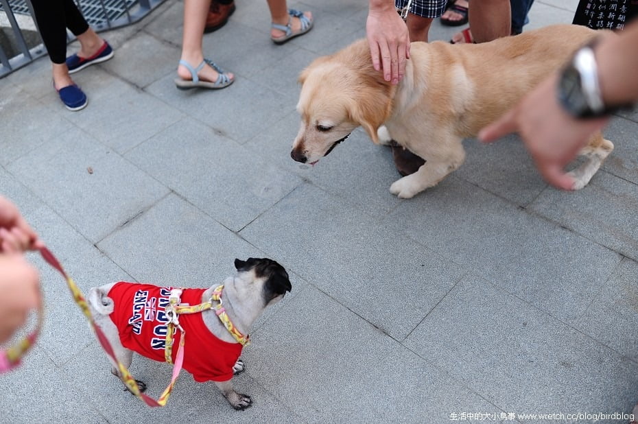 1379022015 451043551 NOW!!!台中最燒景點"秋紅谷"【鳥夫人】