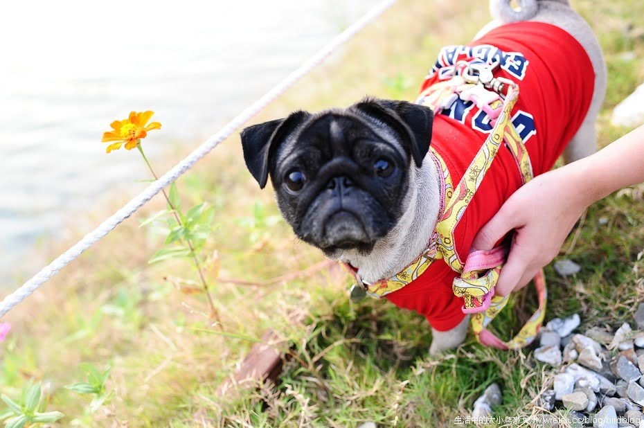 1379022028 4132032348 NOW!!!台中最燒景點"秋紅谷"【鳥夫人】