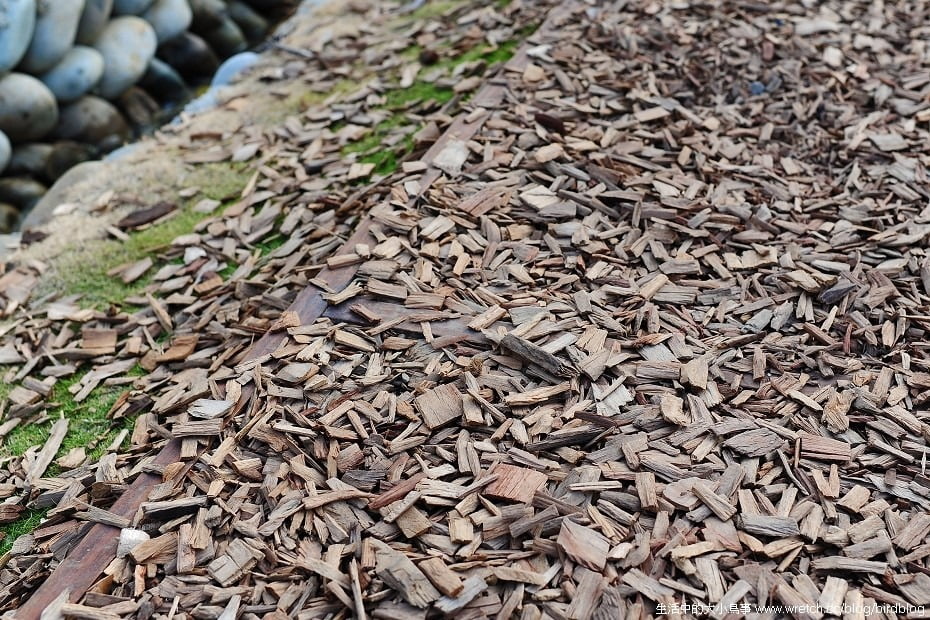 1379022048 1344119458 NOW!!!台中最燒景點"秋紅谷"【鳥夫人】