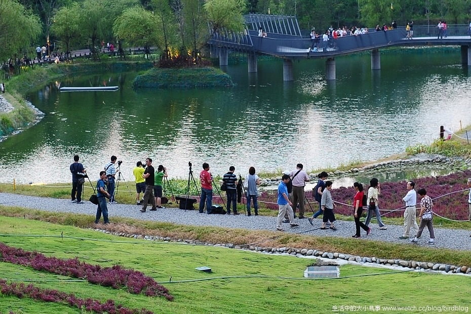 1379022106 4111807672 NOW!!!台中最燒景點"秋紅谷"【鳥夫人】