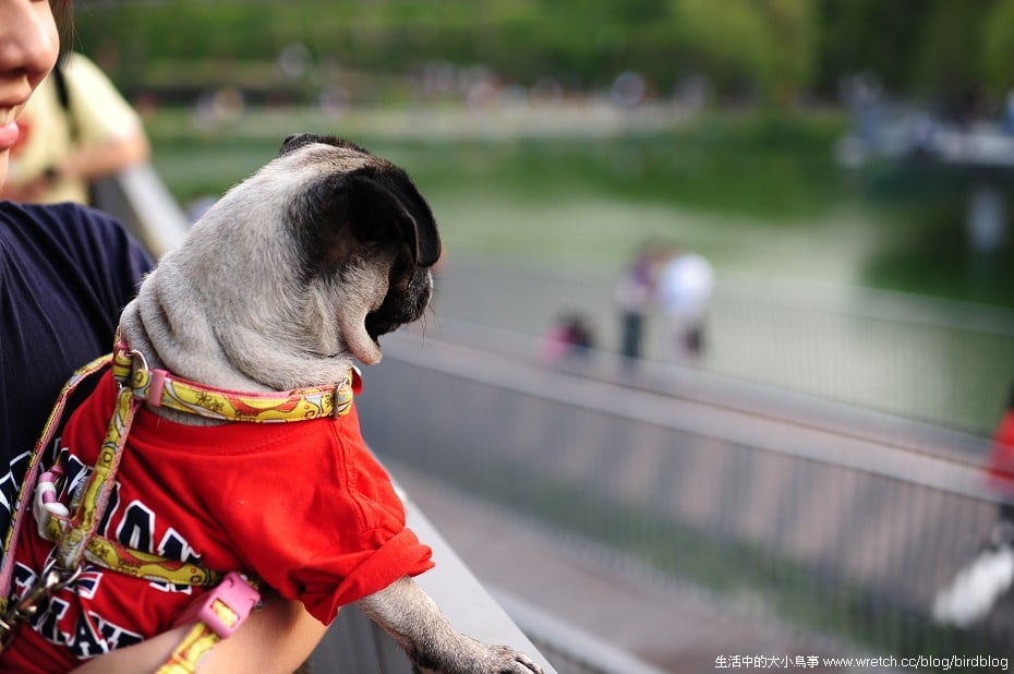 1379022115 1526110905 NOW!!!台中最燒景點"秋紅谷"【鳥夫人】