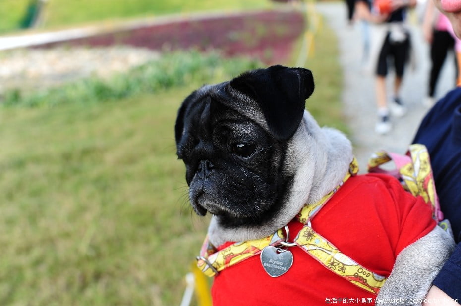 1379022127 1914639827 NOW!!!台中最燒景點"秋紅谷"【鳥夫人】