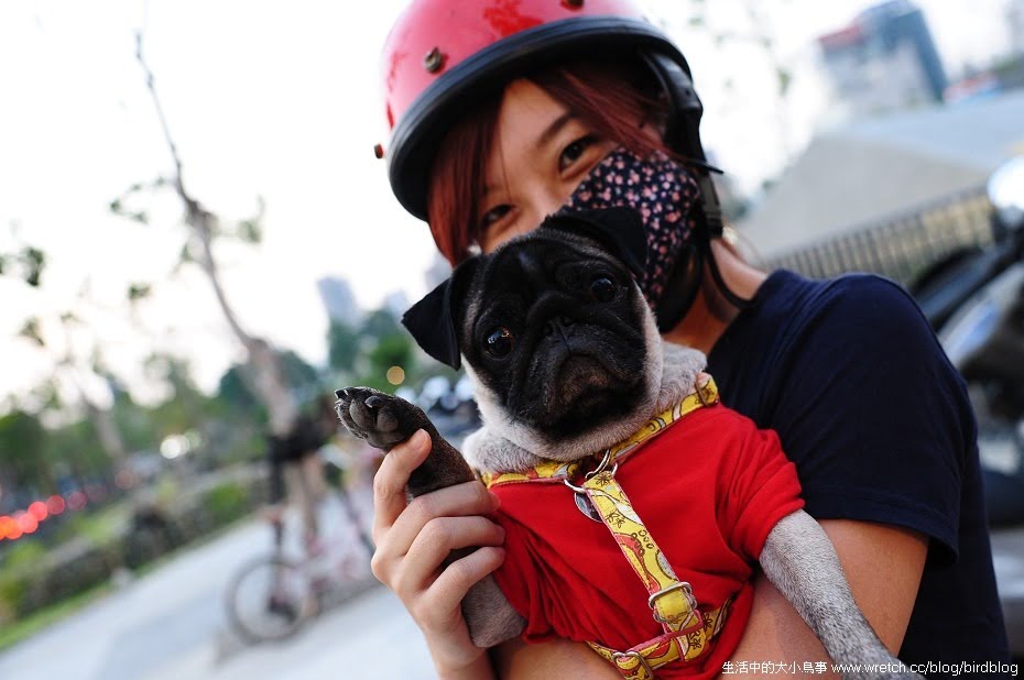 1379022155 1019025226 NOW!!!台中最燒景點"秋紅谷"【鳥夫人】