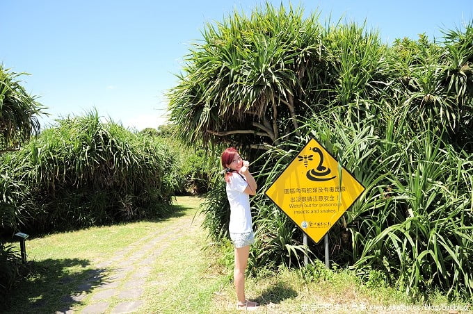 1379022667 2942608491 我們在墾丁。天氣晴【鳥夫人】