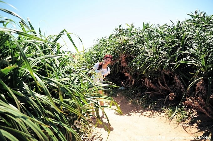 1379022707 227500497 我們在墾丁。天氣晴【鳥夫人】