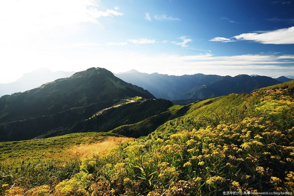 1379022775 2904112342 合歡山看星星-槓龜.囧rz【鳥先生】