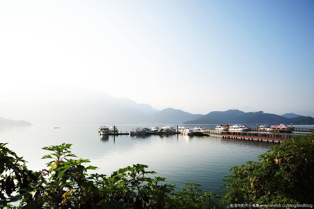 1379022831 3523524539 上班前的.日月潭日出【鳥先生】