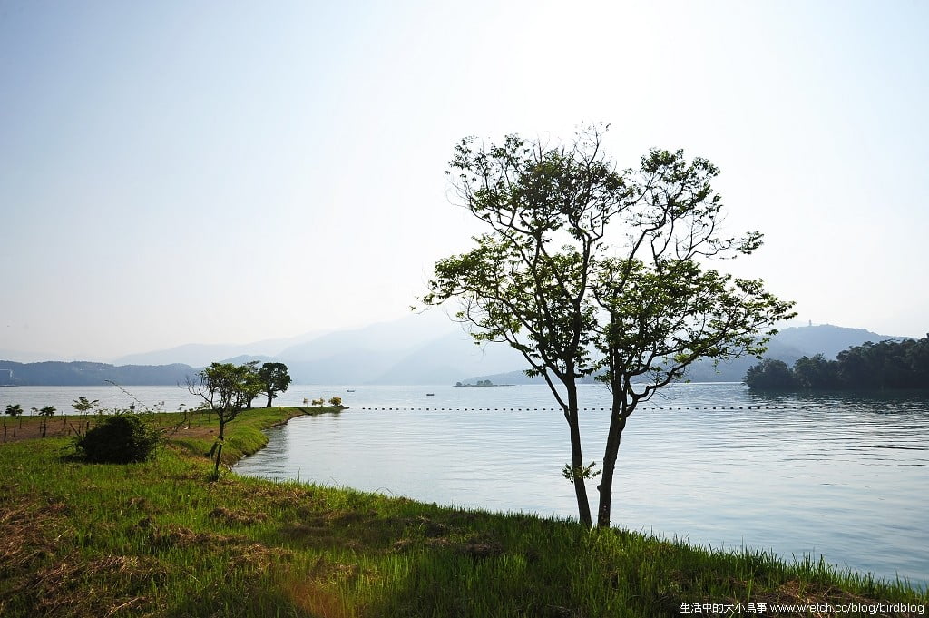 1379022862 4246206822 上班前的.日月潭日出【鳥先生】