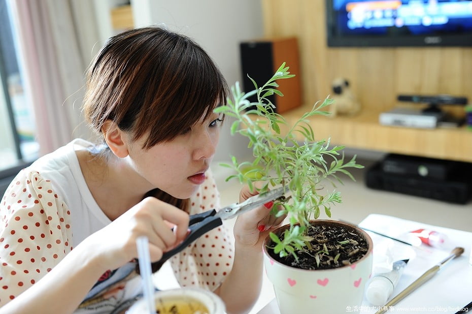 1379020619 673455495 勤美術館+午後花園的園丁【鳥夫人】