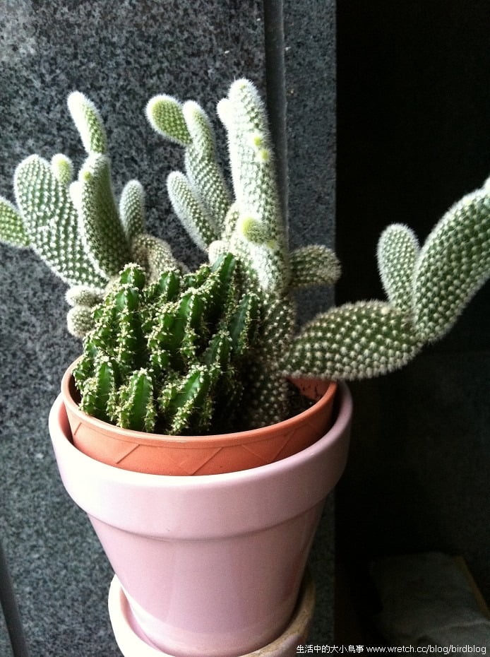 1379020649 3441580434 勤美術館+午後花園的園丁【鳥夫人】