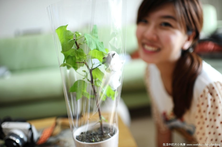 1379020682 767702622 勤美術館+午後花園的園丁【鳥夫人】