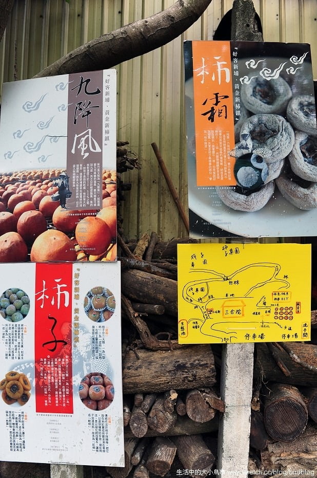 1379020984 1077628657 秋天。新竹柿子節-柿子紅了!柿餅來了!【鳥夫人】