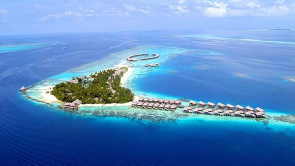 1379018066 1126372468 你''世界末日''了嗎?【鳥夫人】