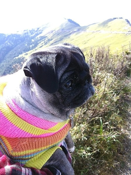 1379018099 3625623039 你''世界末日''了嗎?【鳥夫人】