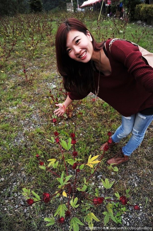 1379018172 1776980412 冬天酒紅色延燒的穿搭文-嫵媚的超級旁分【鳥夫人】