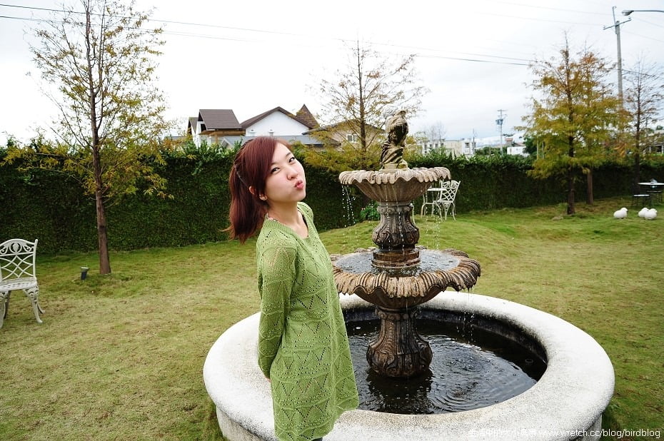 1379018714 1560751239 宜蘭的夢幻英格蘭小古堡-落羽松森林【鳥夫人】