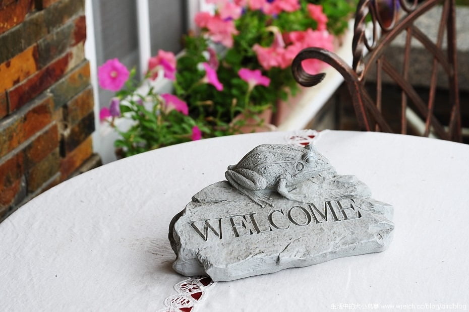 1379018737 3756783644 宜蘭的夢幻英格蘭小古堡-落羽松森林【鳥夫人】