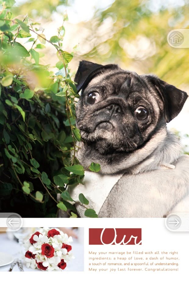 1379019206 1298626719 超SWEET的專屬婚紗照APP【鳥夫人】