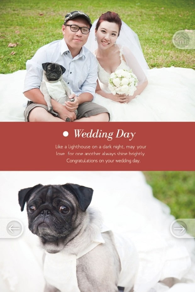 1379019212 317759177 超SWEET的專屬婚紗照APP【鳥夫人】