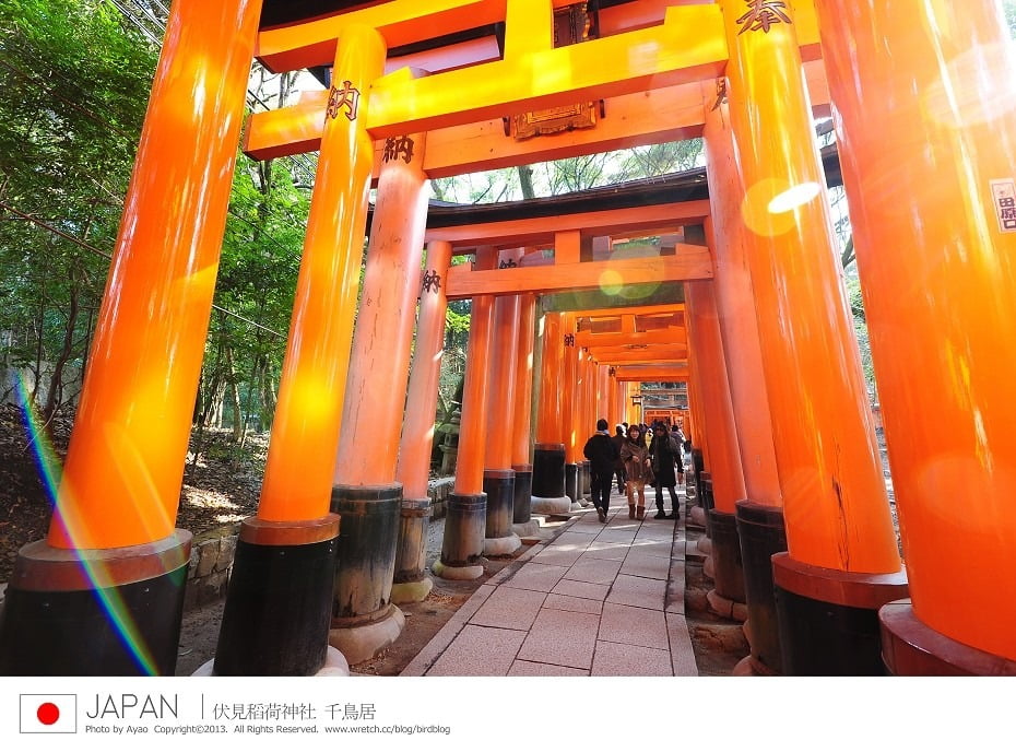 1379016691 1657031837 日本我來啦!!!!琵琶湖+伏見稻荷神社+千鳥居+陰陽師