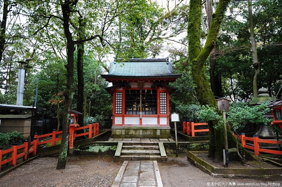 1379017093 4234396499 日本我來啦!!!!八坂神社、祇園&花見小路