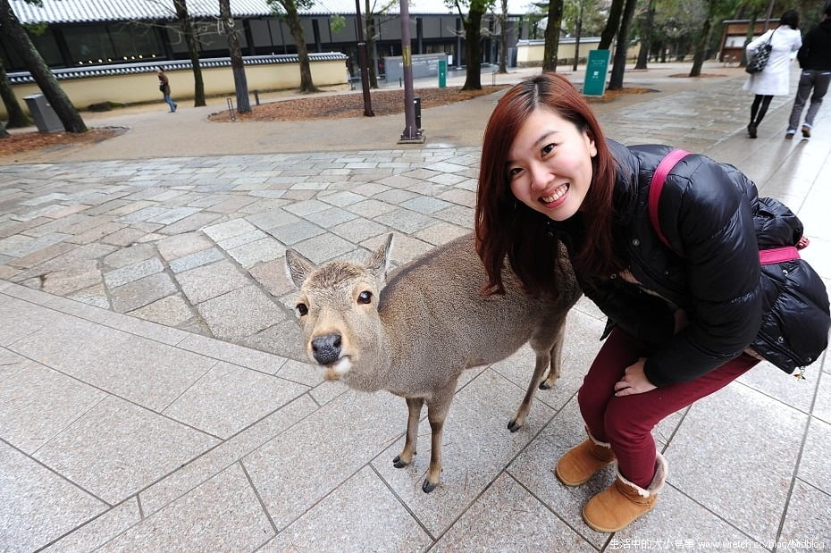 1378988400 2275863572 換個髮型。換個顏色。換個心情【鳥夫人】