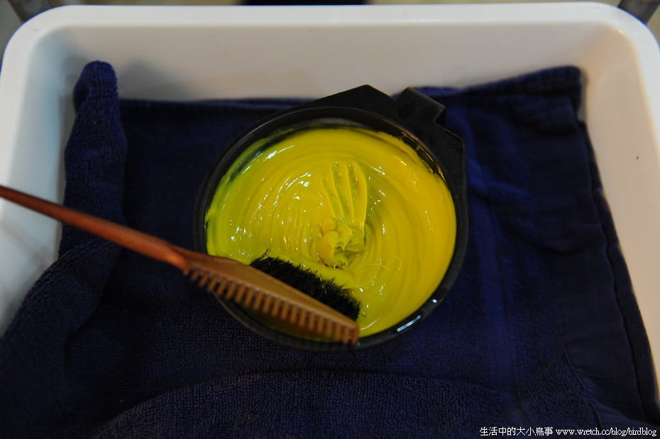 1378988540 1402809377 換個髮型。換個顏色。換個心情【鳥夫人】