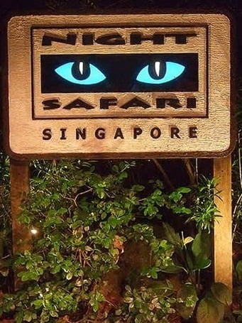 1378974419 1723090213 苦惱。到底是新加坡好還是曼谷好?!【鳥夫人】