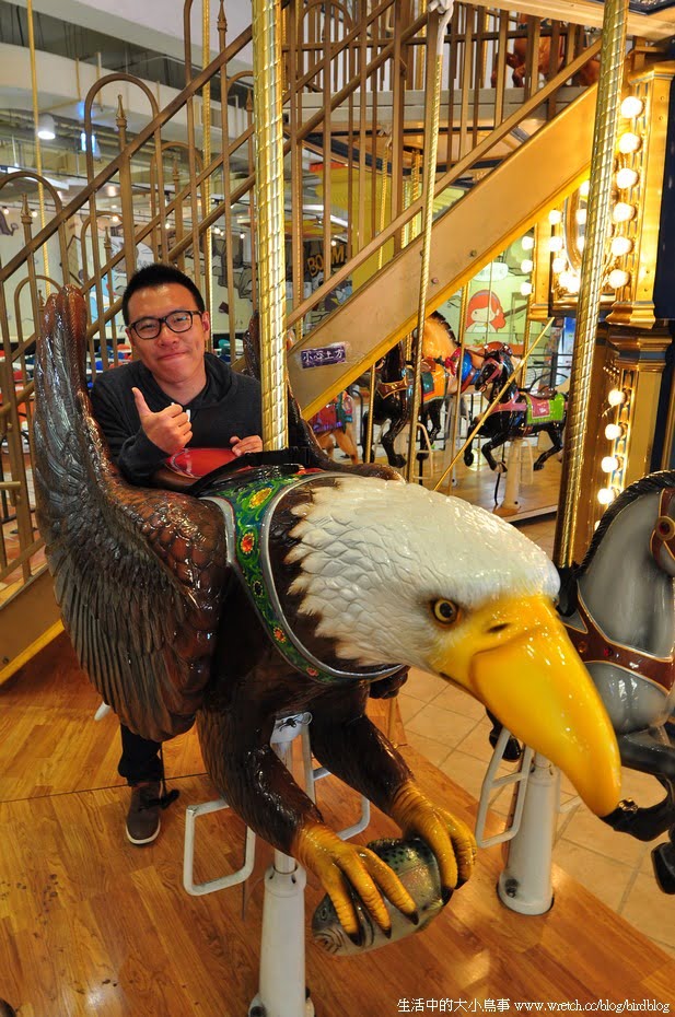 1378972127 471647264 高雄。童心未泯的義大世界-遊樂園裝年輕去【鳥夫人】