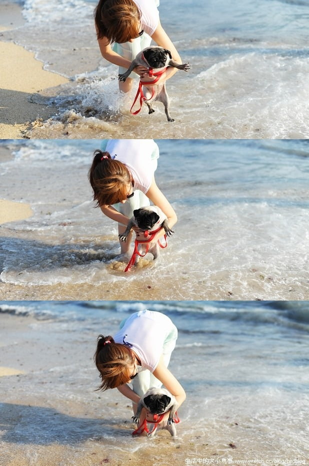 1378971613 3332387558 想念的墾丁海邊。我們帶著小花又來了!【鳥夫人】