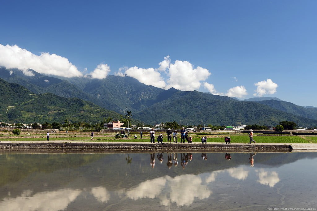 9500499633 0fee17089b b 東部爆肝三日遊.花東芭樂景點瘋狂拍【鳥先生】