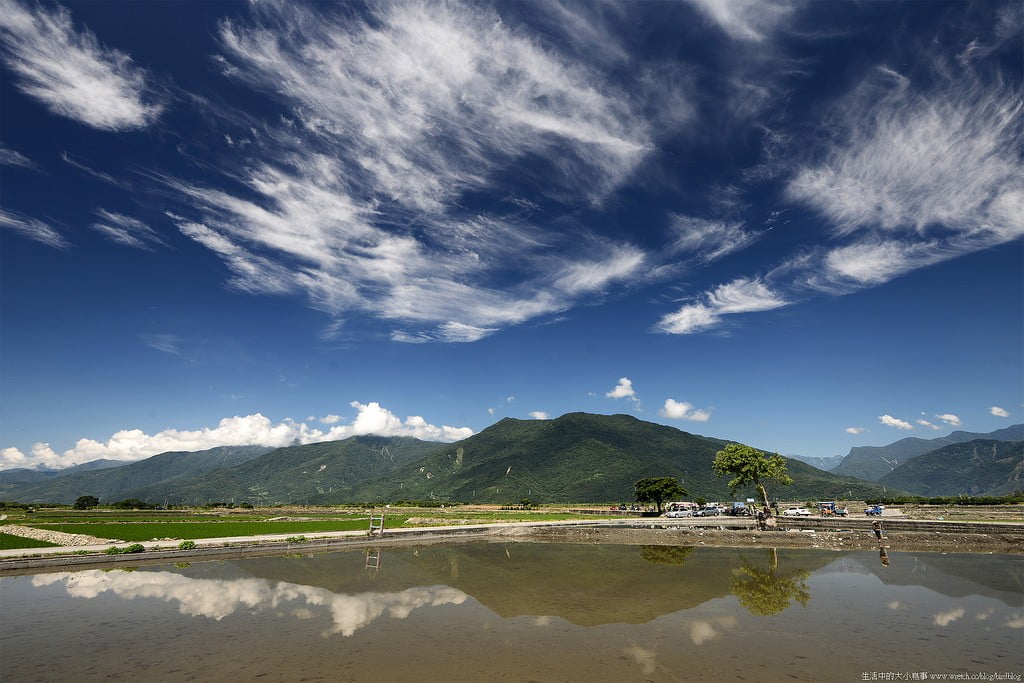 9500500981 50c31a5ed7 b 東部爆肝三日遊.花東芭樂景點瘋狂拍【鳥先生】