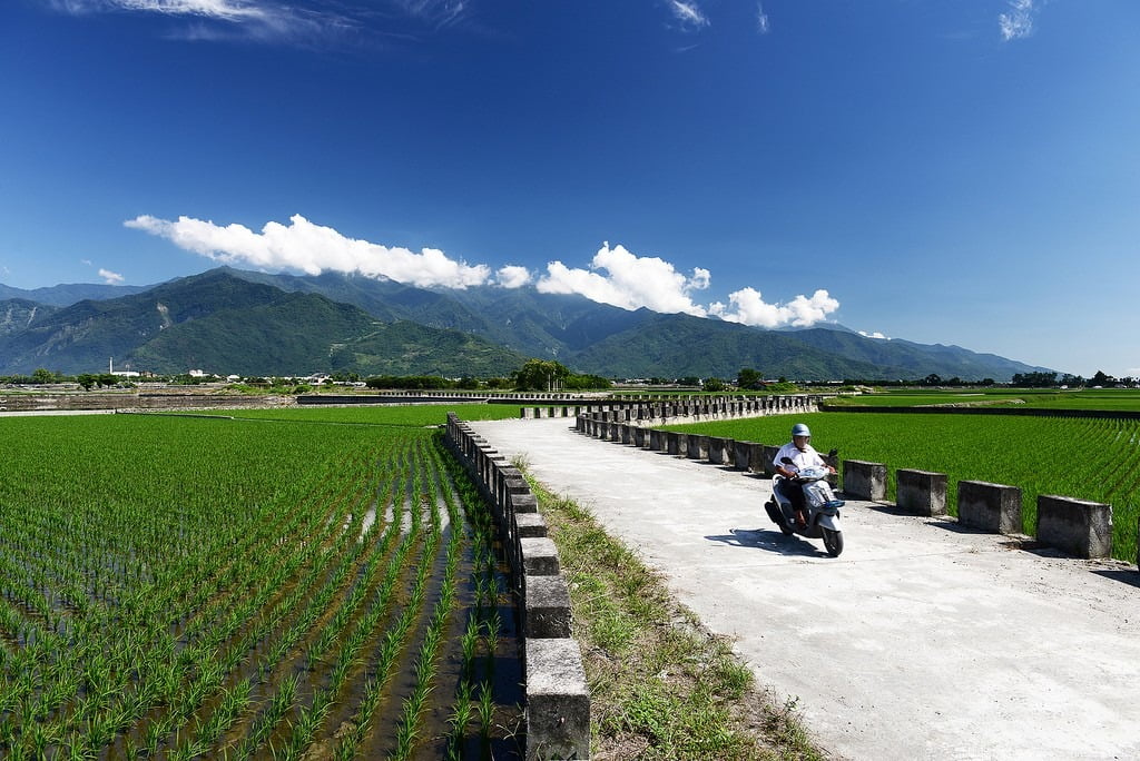 9500502591 fc77fbd1a4 b 東部爆肝三日遊.花東芭樂景點瘋狂拍【鳥先生】
