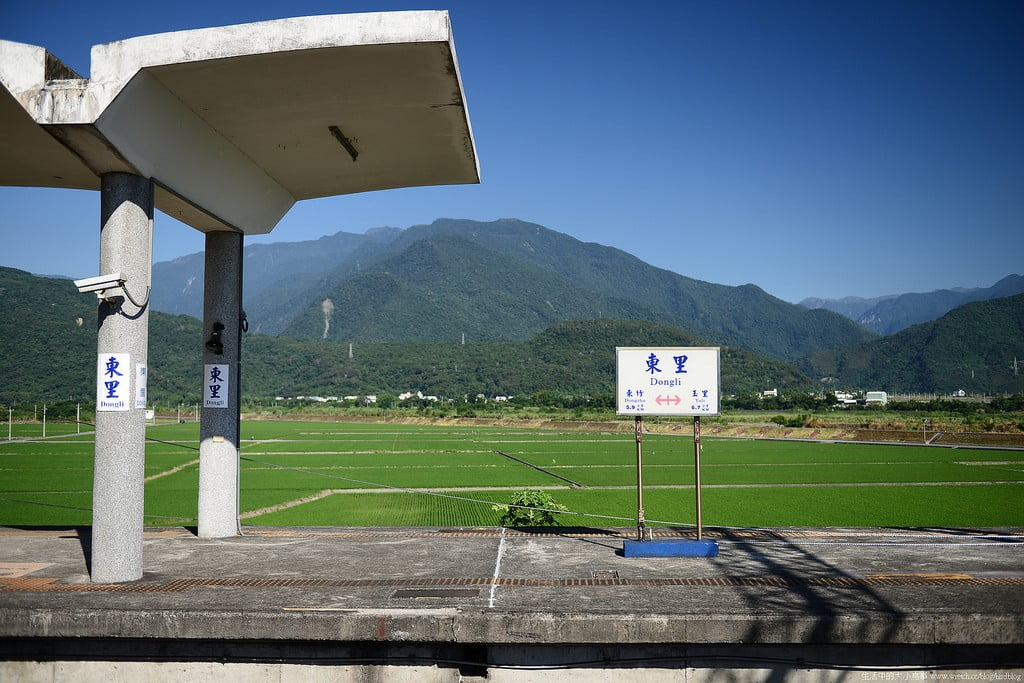 9500504927 f4d5f741b7 b 東部爆肝三日遊.花東芭樂景點瘋狂拍【鳥先生】