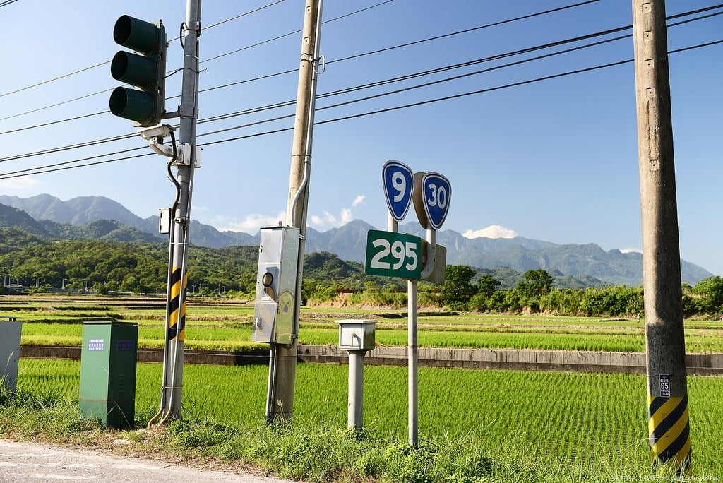 9500506547 c50042958c b 東部爆肝三日遊.花東芭樂景點瘋狂拍【鳥先生】