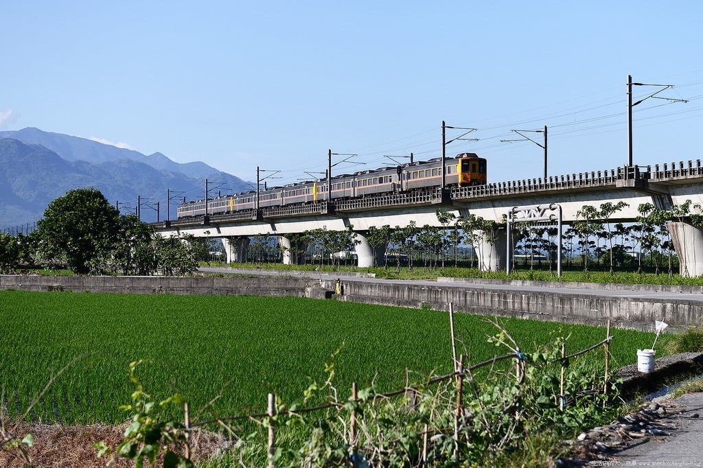 9500507019 ed6a921ba9 b 東部爆肝三日遊.花東芭樂景點瘋狂拍【鳥先生】