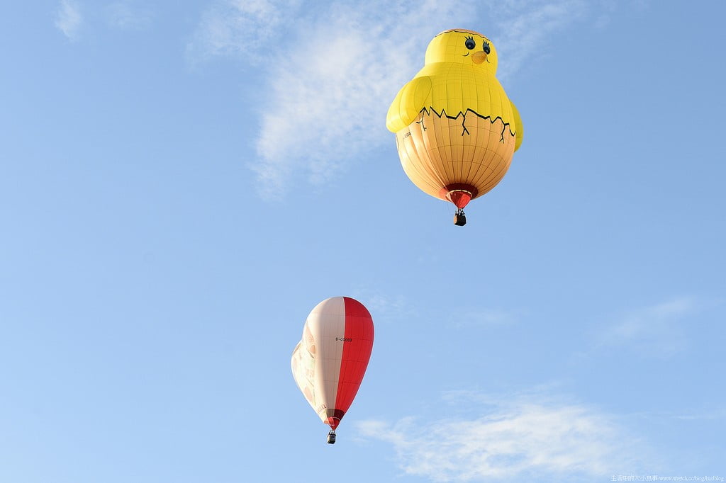 9503287518 460c3eb890 b 東部爆肝三日遊.2013鹿野高台熱氣球嘉年華【鳥先生】