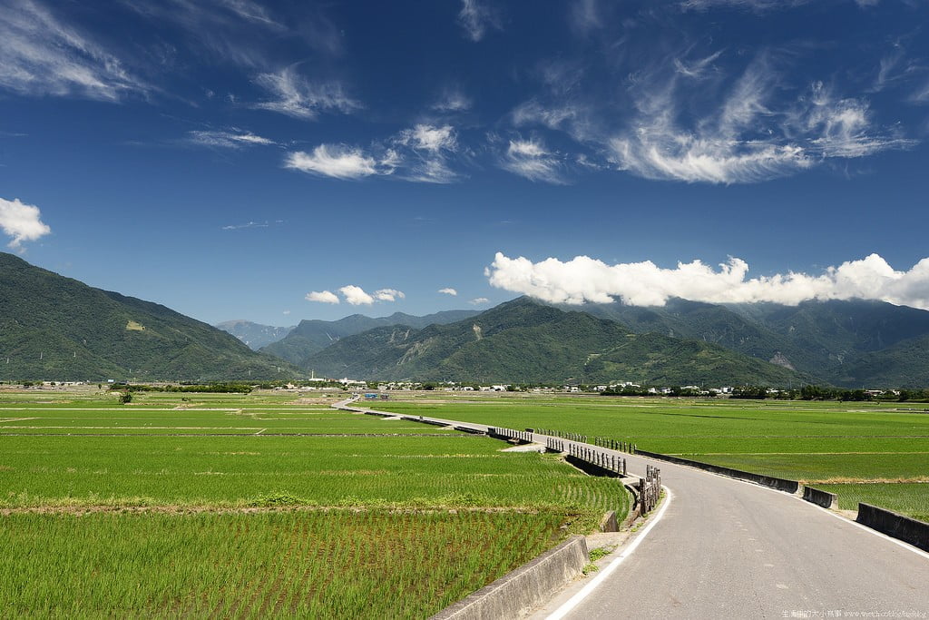9503298226 8e10944d6b b 東部爆肝三日遊.花東芭樂景點瘋狂拍【鳥先生】