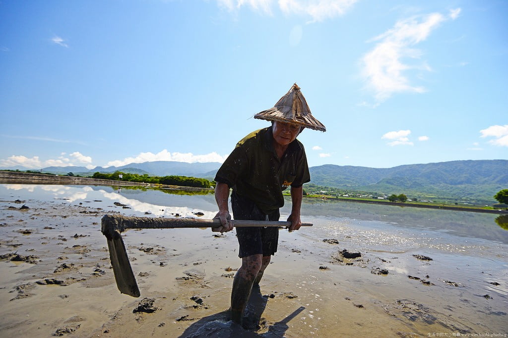 9503299998 c945c2f17c b 東部爆肝三日遊.花東芭樂景點瘋狂拍【鳥先生】