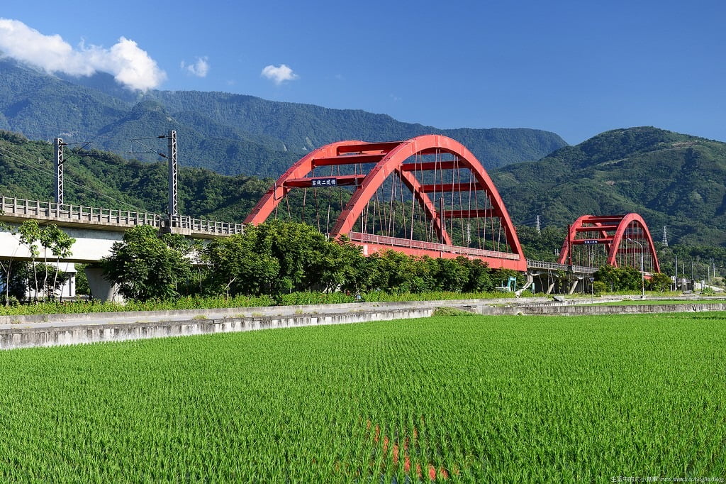 9503317242 5d76036928 b 東部爆肝三日遊.花東芭樂景點瘋狂拍【鳥先生】