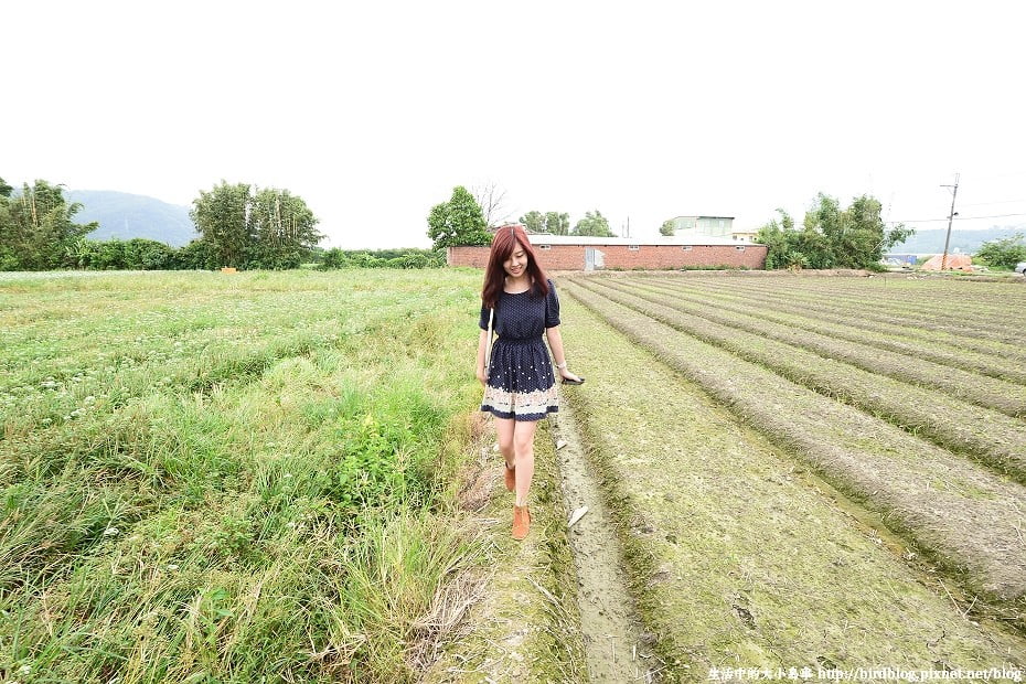 10070097743_40a7b897e8_o