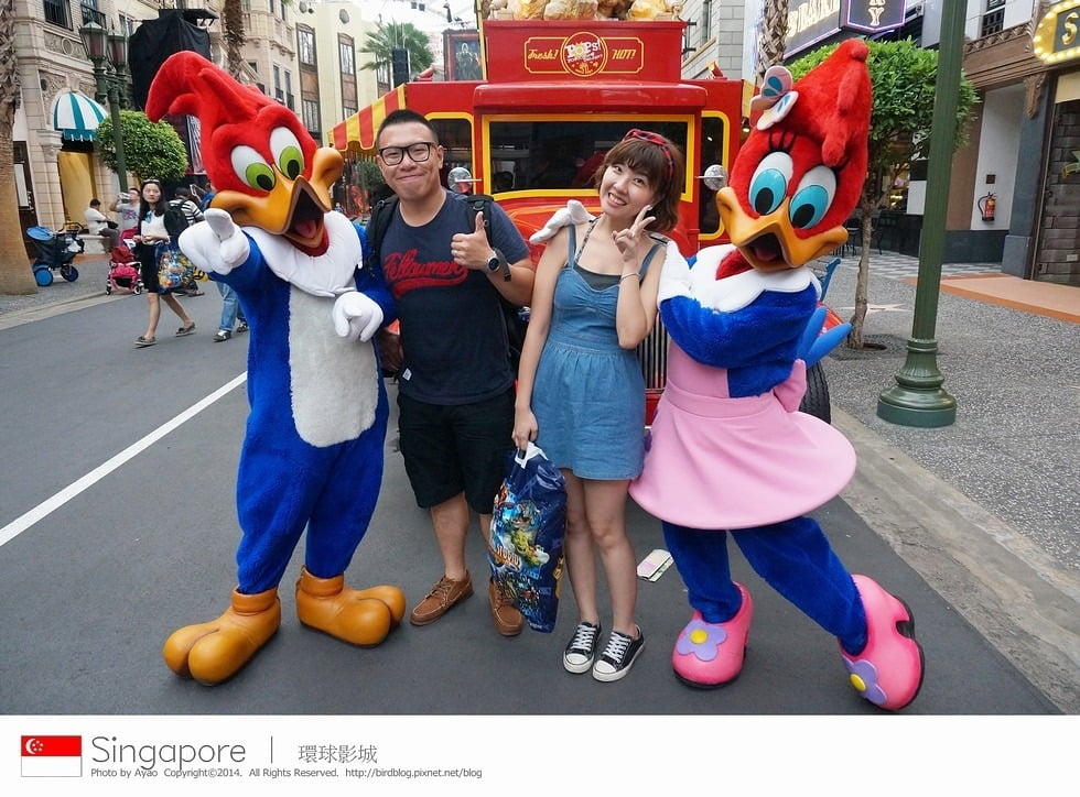 LIN_3000-55